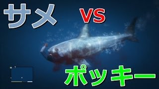 【GTA5】無敵になってサメと戦ってみた・・・けど食われた