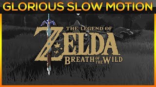 Cemu 1.9.1 | Glorious Slow Motion | Zelda Breath of the Wild