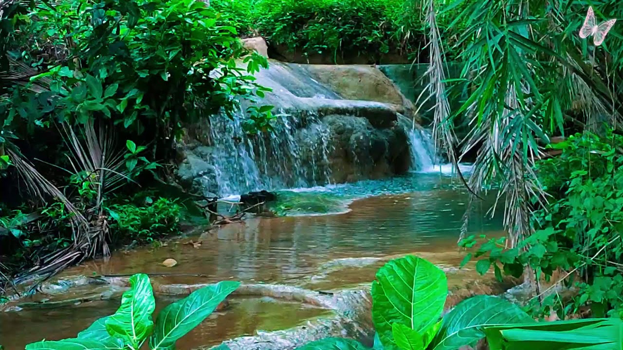 Relaxing Music For Stress Relief, Anxiety and Depressive States🌲 Heal Mind, Body and Soul Relax 32