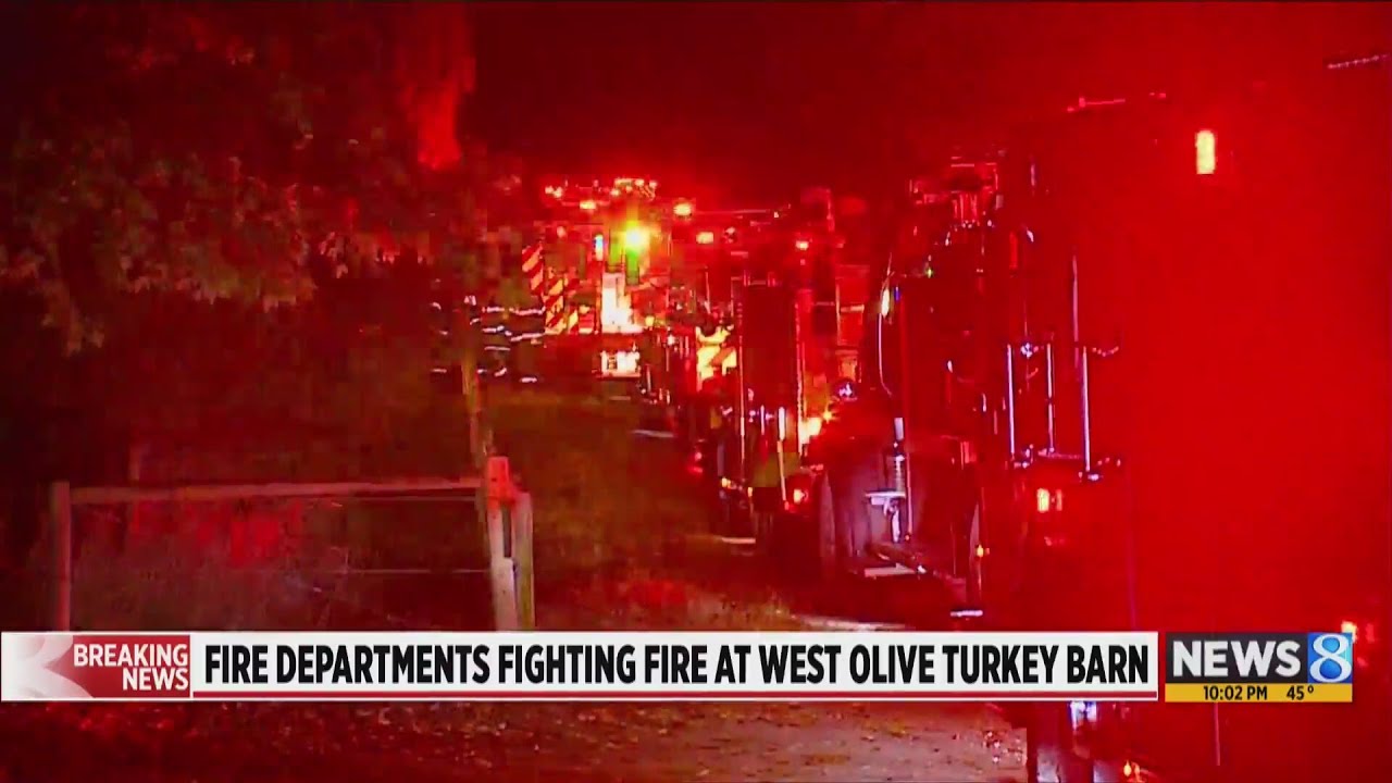 Fire destroys turkey coop in Olive Township - YouTube