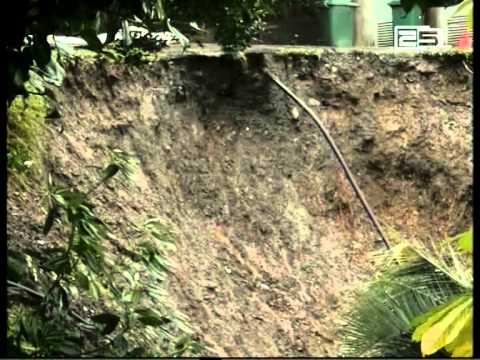 ბოტანიკური ბაღი ვიზიტორებისთვის  დაიკეტა