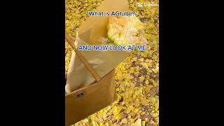 Thank You To For The Idea