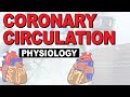 Coronary Circulation and Blood Flow Regulation Quiz