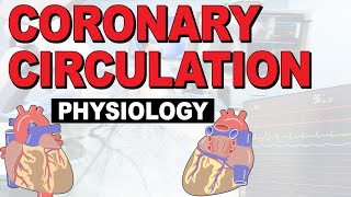 What is the PHYSIOLOGY of the coronary circulation?