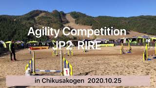 リーくん‼️JKC アジリティー競技会 JP2  2020.10.25