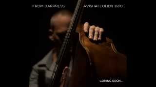 Avishai Cohen &quot;From Darkness&quot; Preview