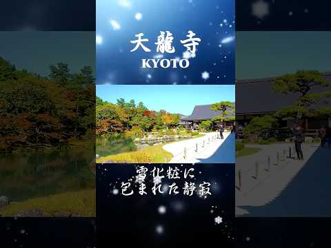 A trip around Kyoto's Tenryu-ji Temple (UNESCO World Heritage Site)!