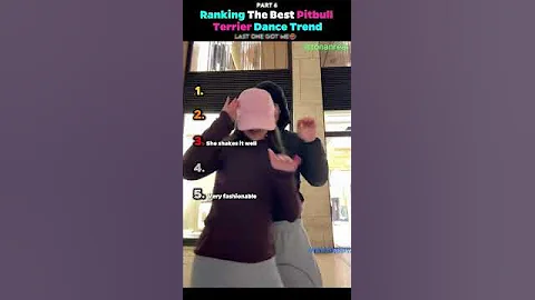 Ranking The Best Pitbull Terrier Dance Trend (PART 6)