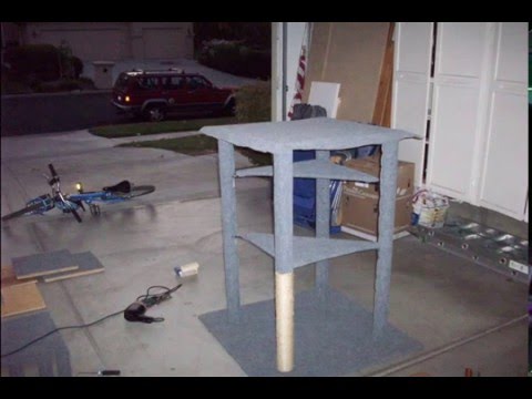Comment construire un condo Cat