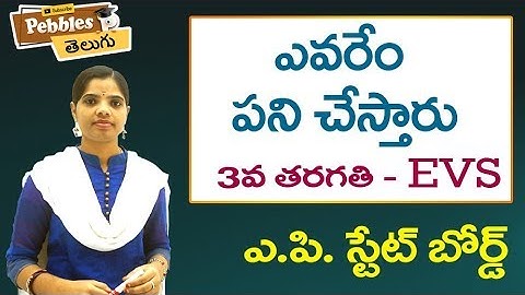 Yevaru emi pani chestharu (Full Lesson) 3rd Class EVS-Telugu Video Lessons |  A.P Telugu Syllabus