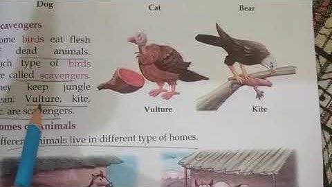 CLASS II EVS CHAPTER   3 THE WORLD OF ANIMALS PART 2  BY SIMRANJEET KAUR MAM