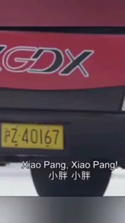xukai \chessman#shorts