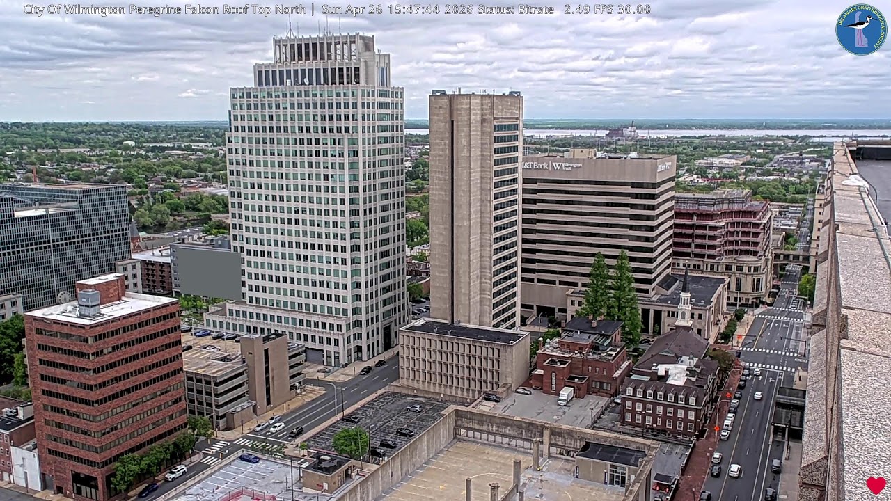 youtube-video-thumbnail