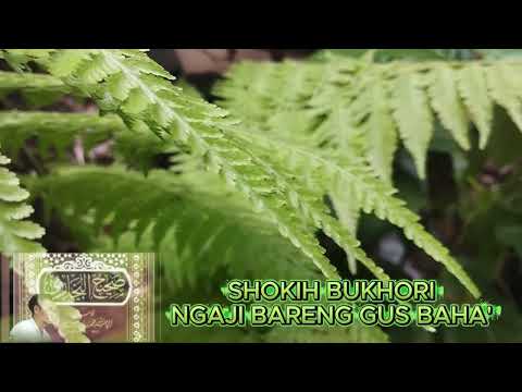 NGAJI BARENG GUS BAHA' SOHIH BUKHORI MENARA KUDUS TERBARU #gusbaha #ngaji #ngajibareng #ngajirutin