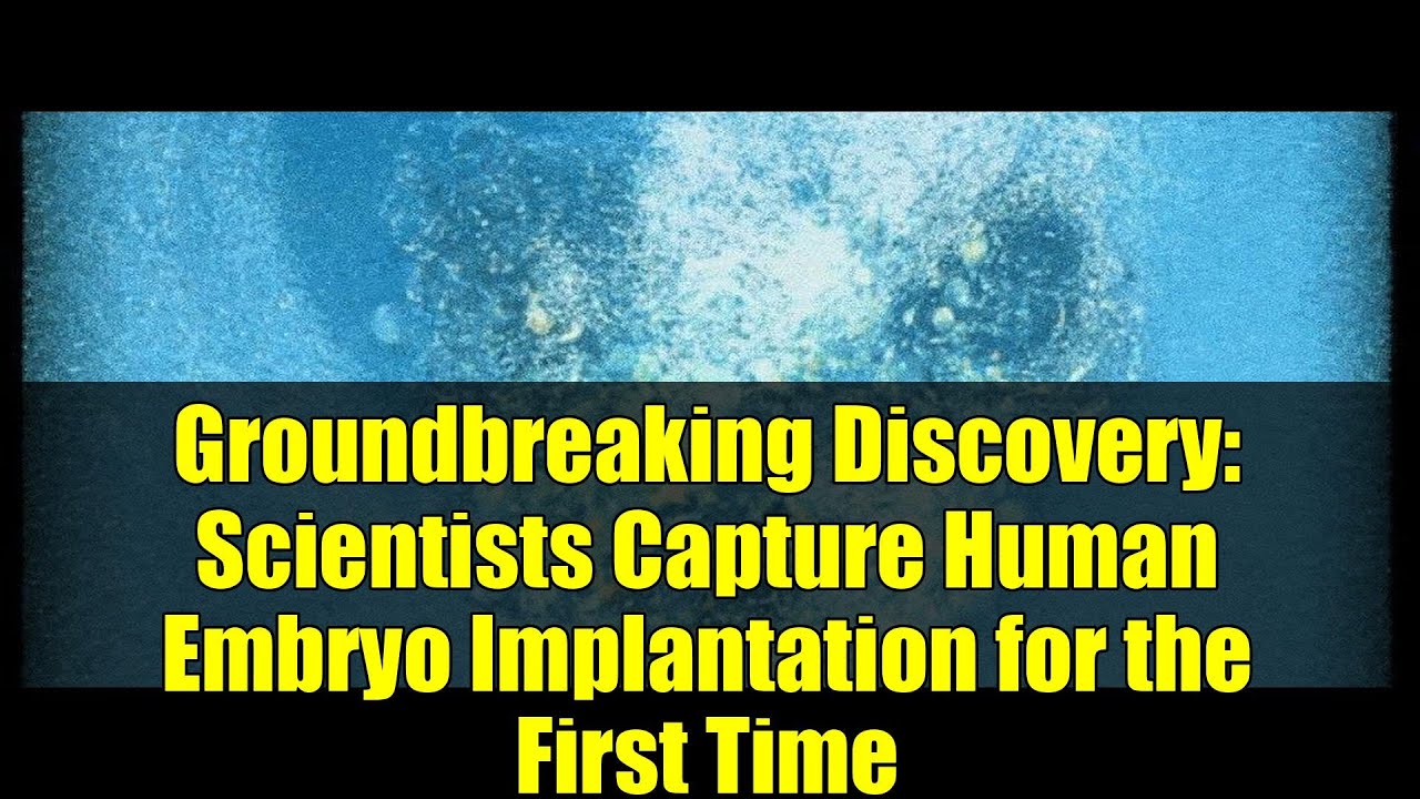 Groundbreaking Discovery: Scientists Capture Human Embryo Implantation for the First Time