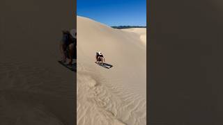 Skimboarding On Sand