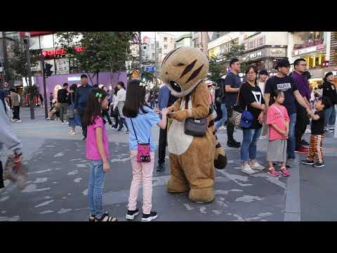 JHKTV] 신촌 명물고양이 몸풀렸어 shinchonspecial cat I&amp;#39;m <strong>relieved</strong>.