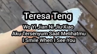 (Oldies) 邓丽君 Teresa Teng : 我一见你就笑 Wo Yi Jian Ni Jiu Xiao (Sub Indo Eng Pinyin)