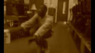 CAPCOM Ent Jerkin in CHORUS .3g2