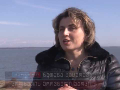 ფოთელი მოსწავლეები ეროვნულ პარკს ეწვივნენ 07.02.17