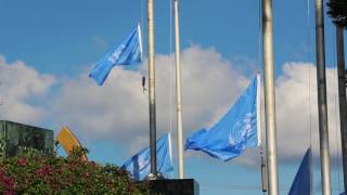 UN Flag Raising 2015