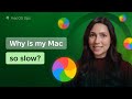 Speed up your slow Mac with these 6 tips