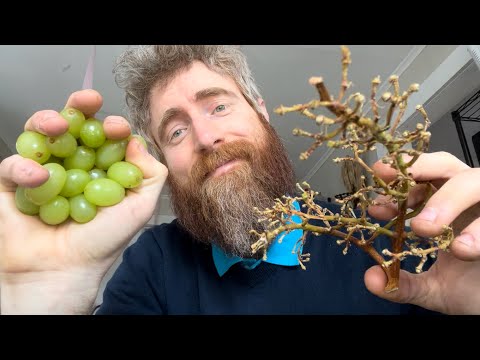 ASMR🍇Random LofiFast Aggressive🍇