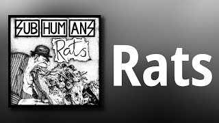 Subhumans // Rats