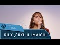 【LIVE録音】RILY/RYUJI IMAICHI Covered by Mele