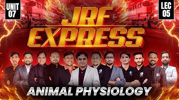 Animal Physiology CSIR NET Life Science 2025 | Unit 7 | JRF Express | IFAS