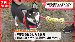 【わんわんパトロール隊】愛犬の散歩しながら安全見守る  東京・足立区