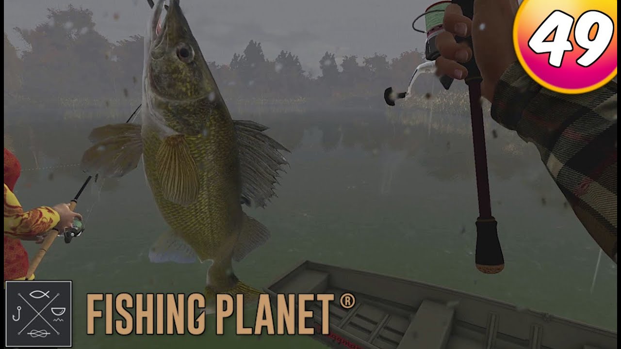 Fishing 49 Zander im Regen [Gameplay Deutsch] YouTube