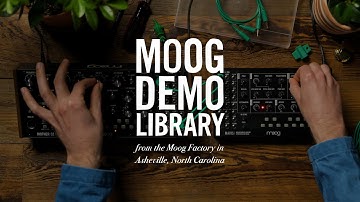 Moog Mavis | How to Integrate with Mother-32, DFAM & Subharmonicon