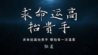 张良 - 求命运高抬贵手 「求命运高抬贵手 哪怕有一次温柔 我已经把所有的骄傲弄丢」【动态歌词/PinyinLyrics】♪