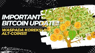 IMPORTANT UPDATE!!BUAH MANIS KESABARAN | PENTINGNYA DATA HISTORICAL | WASPADA KOREKSI DI ALT-COINS