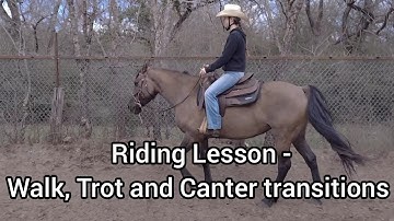 Riding Lesson - Walk, trot and Canter transitions