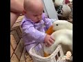 Cute baby playing with pet   #shorts #cutebaby #funny #funnyvideo #funnyshorts