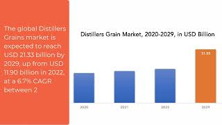 Distillers Grains Market | Exactitude Consultancy Reports