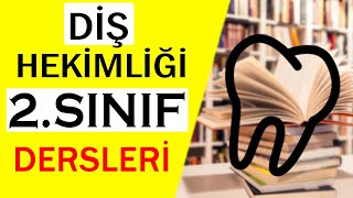 Diş Hekimliği 2.Sınıf Dersleri Tanıtım | Protetik, Restoratif, Endodonti..