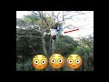 5 year-old Jesai Sielhnam performed amazing gymnastics at top of the tree. WOWW..