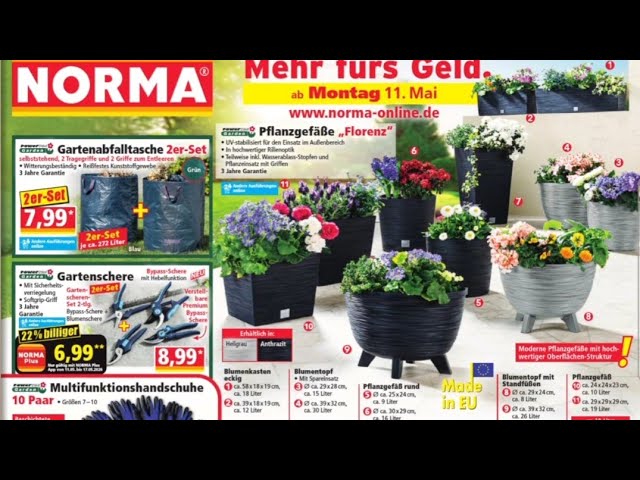 Norma angebote prospekt werbung angebote Norma prospekt #norma #angebot  #werbung