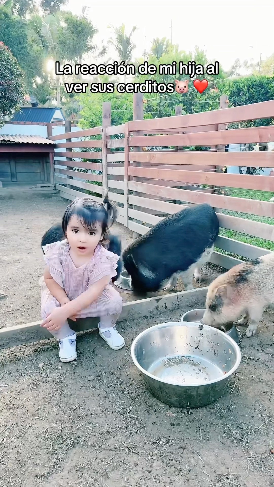 La reacción de mi hija al ver a sus CERDITOS??