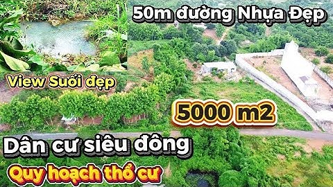 🌿 Bán Nhanh! Nhà Vườn View Suối Hiếm – Giảm 150 Triệu – 50m Mặt Tiền Nhựa – Khu Dân Cư Đông!