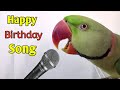 Parrot singing and dancing happy birt.ay song like a human
