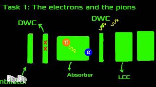 Peregrine Pions Bl4S Final