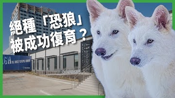 讓一萬年前絕種的生物復活！ 基因編輯公司複製出三隻「恐狼」！ 是生態奇蹟還是科技怪獸？【TODAY 看世界｜小發明大革命】