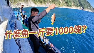 【海釣船釣魚】釣到1000塊一斤的魚，這應該是我釣魚這麼久以來釣過最貴的魚了！