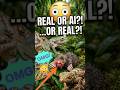 Scientists Found These Unreal Animals 😨 #shorts #wildlifeentertainment #animals #wildlife #shorts