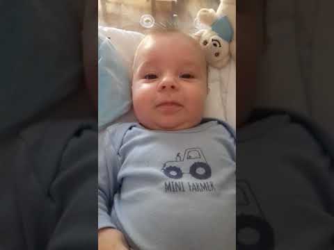 oblibena videa youtube
