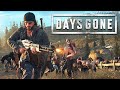 MORE THAN 3000+ HOURS IN DAYS GONE JUST FOR KILLING HORDE || DAYS GONE GAMEPLAY #zombie #daysgone